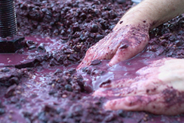 winemust