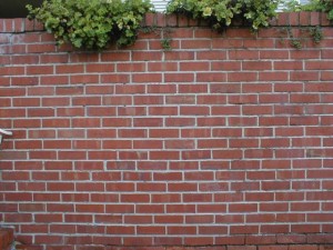Brick Wall