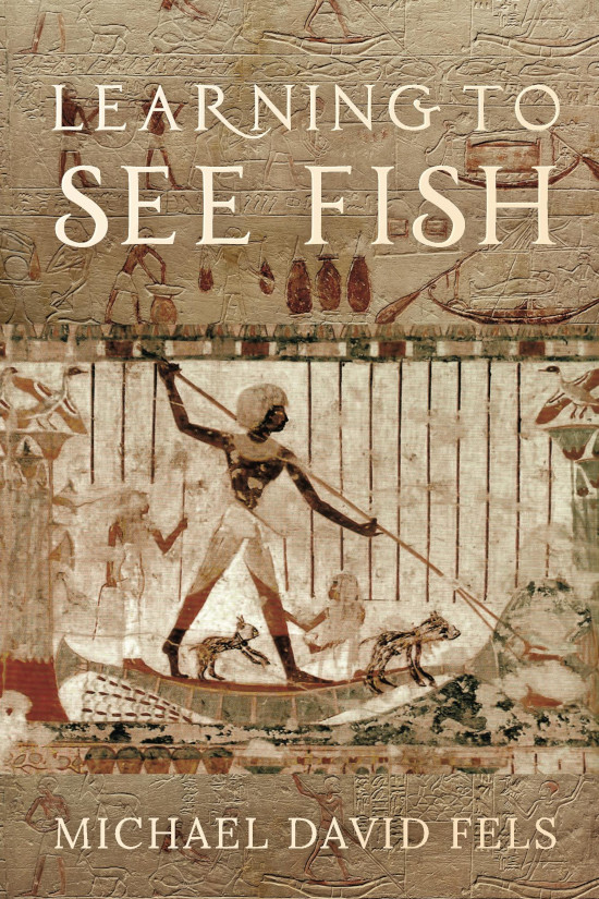 Learning to See Fish